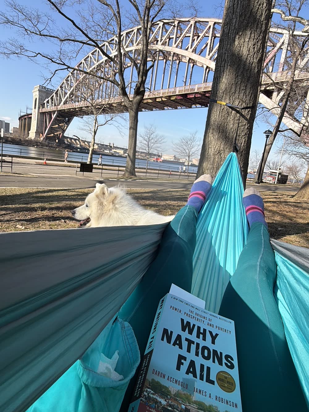 Reading in a hammock at Astoria Park